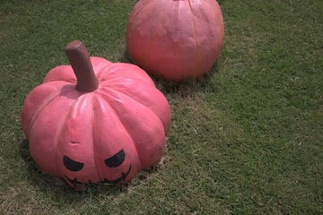 pumpkin on grass