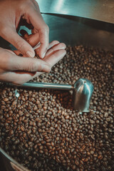 specialty coffee roasted artisanal grain