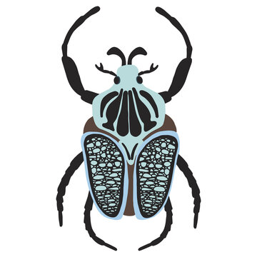 recommend clip art: Goliathus regius beetle, vector illustration isolated on a white background
