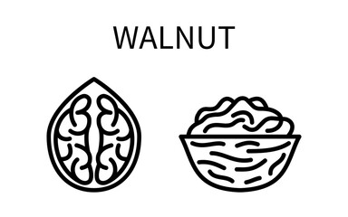 Icon Walnut Line Simple Style. Kernel Is A Nut Shell. Source of vegetable milk. Vector sign in a simple style isolated on a white background. Original size 64x64 pixels.