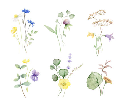 Watercolor vector set of bouquets of meadow flowers and leaves.
