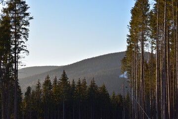 winter in mountains