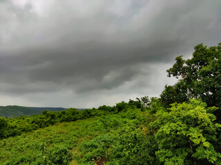 Nature view includes green plants and fields under the rain cloud - Powered by Adobe