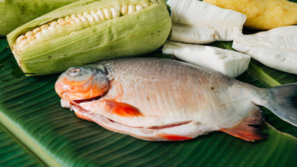 raw fish, corn on the cob and yucca for the preparation of a sancocho, a typical Colombian meal.
