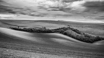 Wavy agricultural field of Moravian Tuscany. Black and white image.