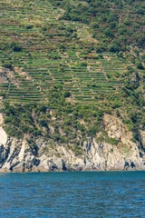 Fototapeten Terraced fields with green vineyards on the coast of Cinque Terre at summer, Ligurian Sea, La Spezia province, UNESCO world heritage site, Liguria, Italy, Europe. © Alberto Masnovo