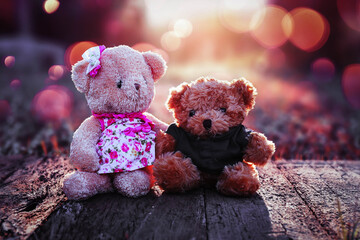 Teddy bear on the wooden floor in the grass in the morning with beautiful bokeh naturally.