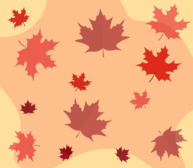 Naklejka na ściany i meble Maple leaves background. Autumn pattern. Delicate autumn colors. Red leaves. Autumn time.