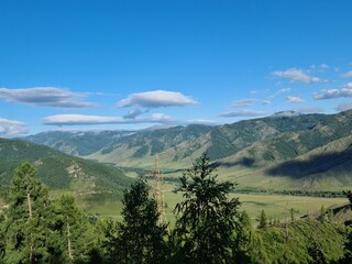 Fototapeta premium Altai nature