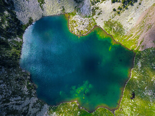 Vertical aerial view from above of a big lake surrounded by a natural green landscape.