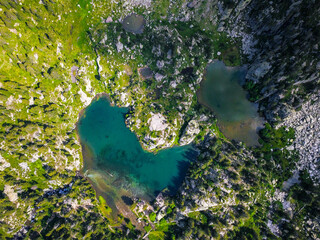 Vertical aerial view from above of two big lakes surrounded by a natural green landscape.
