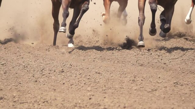 Hooves of Several Racehorses Raise a Cloud of Dust. Slow Motion
