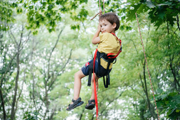 Naklejka na ściany i meble Little boy in climbing saddle climbing the rope into the canopy of the tree with alpine equipment and climbing gear, summer outdor activities for children