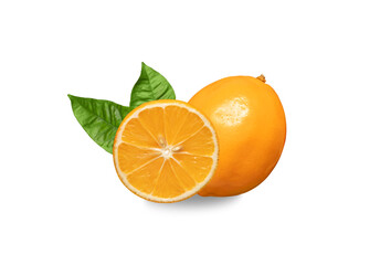 Orange citrus fruit isolated on a white background. Citrus meyeri orange lemon. Juicy fruit with leaves close up.