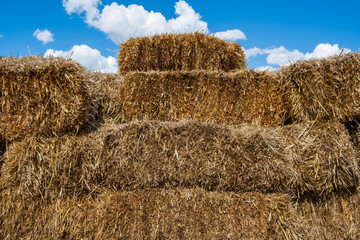 Haystacks on farm, Colorado, USA.