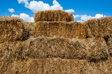 Haystacks on farm, Colorado, USA.