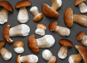 Mushrooms background. Boletus or cep on a gray background close up. Mushroom pattern. Top view, flat lay.