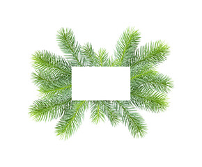 frame of spruce branches isolated on a white background with white space for text