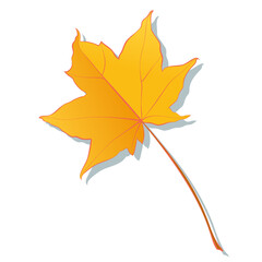 Botanical maple autumn leaf with shadow isolated on white background. Simple cartoon flat style vector illustration.