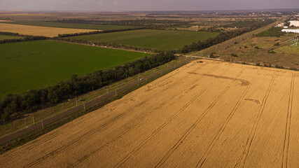 Obraz premium Wheat field top view. Aerial photography of a wheat field.