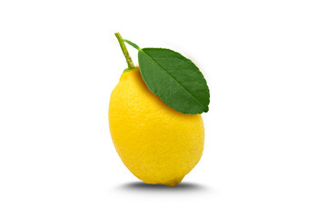 lemon fruit with leaf isolated on the white background.