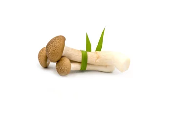 Poster Brown beech mushroom to tied with pandan leaves isolated on the white background © KE.Take a photo