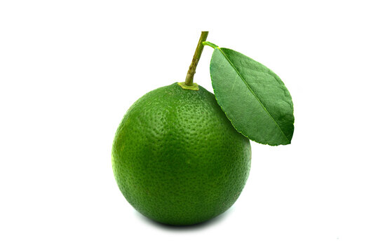 Green lemon fresh picture isolated on the white background.