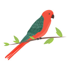 Cartoon Australian king parrot, Alisterus scapularis, in a flat style. 