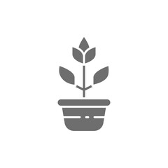 Flower in a pot, plant in ceramic dishes grey icon.