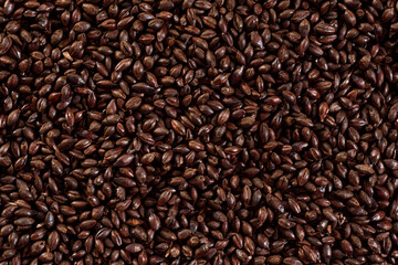 Malted grain close up. Mixed varieties of malted grain on a gray background. close-up. top view. flat lay. series of photos. space. High quality photo