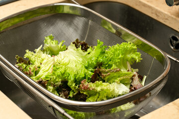 Fresh green lettuce in a colander