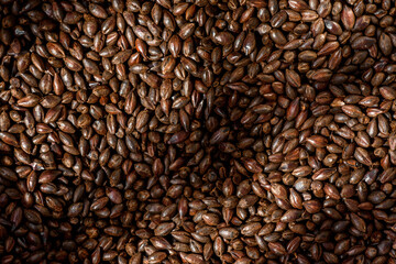 Obraz premium Malted grain close up. Mixed varieties of malted grain on a gray background. close-up. top view. flat lay. series of photos. space. High quality photo