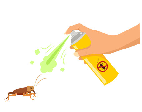 Hand spraying insecticide on dizzy cockroach isolated on white background