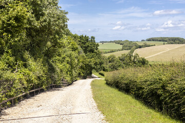 Plakat Campden Lane (an ancient drovers road) now a bridleway on the Cotswold Hills near the hamlet of Farmcote, Gloucestershire UK