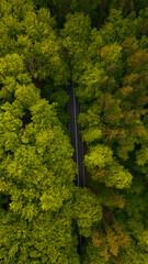 Areal view on asphalt road in the forest