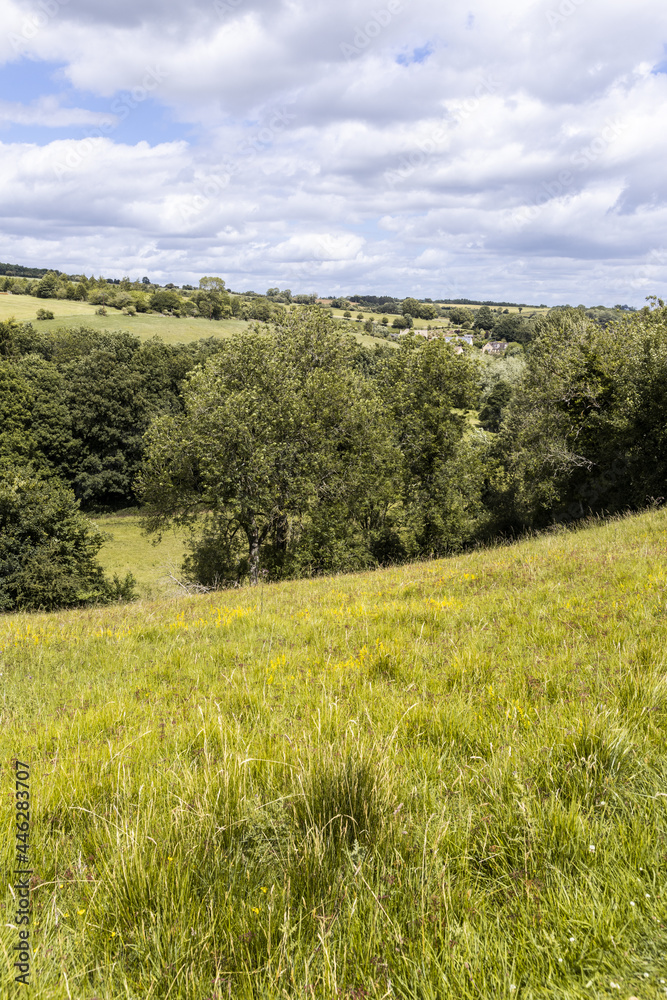 Wall mural The valley of the River Windrush near the Cotswold village of Naunton, Gloucestershire UK