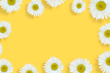 beautiful chamomile flowers lie on the edges of the image in the form of a frame, close-up on a yellow background isolated, top view