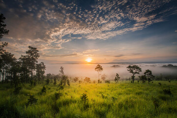 silhouette of a couple on the beach