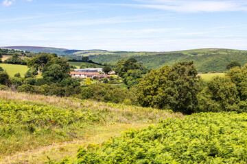 Fototapeta na wymiar Exmoor National Park - The view towards Cloutsham from the path on Dunkery Hill leading to Dunkery Beacon, Somerset UK