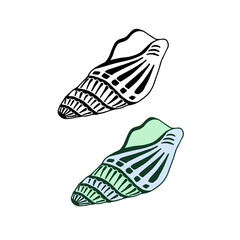 Vector illustration of seashell. The clam in two versions - colored and black outline. Design for log, banner, icon.