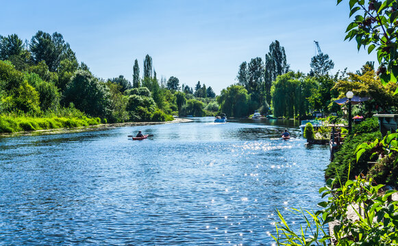 Along The Sammamish River