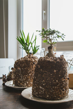 jukka and shiitake pot on the window table