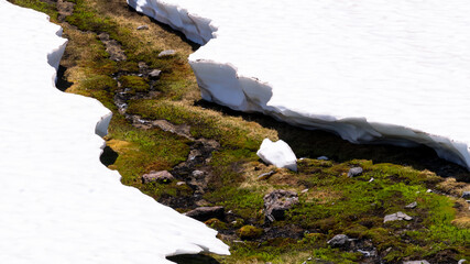 Melted Snow from river on Mount Rainier