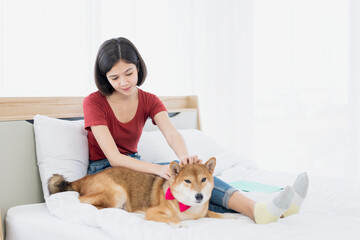 Young Asian women wearing red t-shirt on the bed with a dog. Shiba inu dog on the bed with girl.