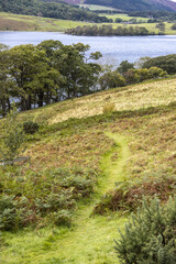 A grassy footpath leading down to Buttermere in the English Lake District, Cumbria UK