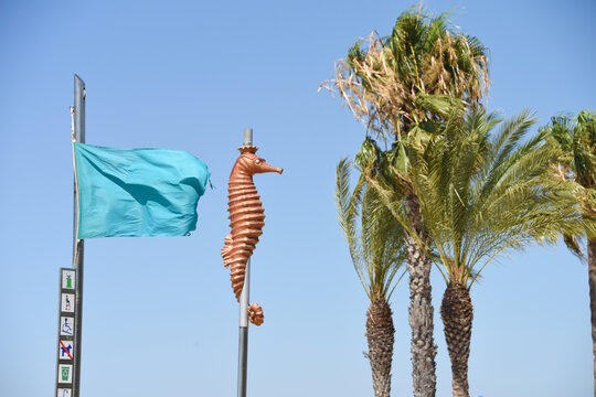 drapeau vert m&eacute;t&eacute;o plage beau temps baignade autoris&eacute;e