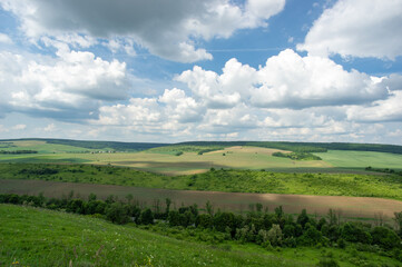 Obraz premium Summer landscape and white clouds over green fields