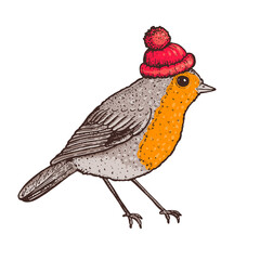 Bird vector illustration. Vintage hand drawn bird . Autumn or winter bird.