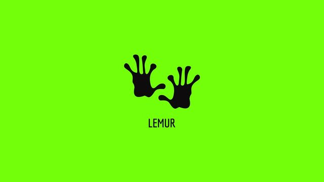 Lemur step icon animation
