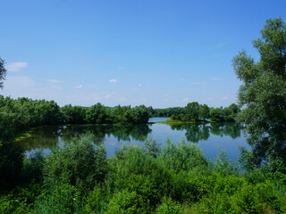 Fototapeta na wymiar Blick auf den Koldinger See in der Leineaue bei Koldingen